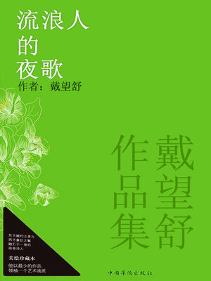 cover image of 流浪人的夜歌